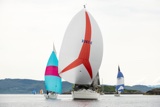 salamander xxii 3361c whyw19 tue gjmc 4228